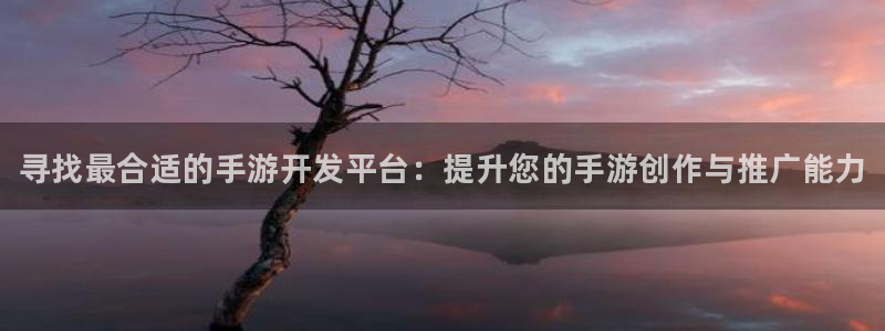 pg国际软件：寻找最合适的手游开发平台：提升您的手游创作与推